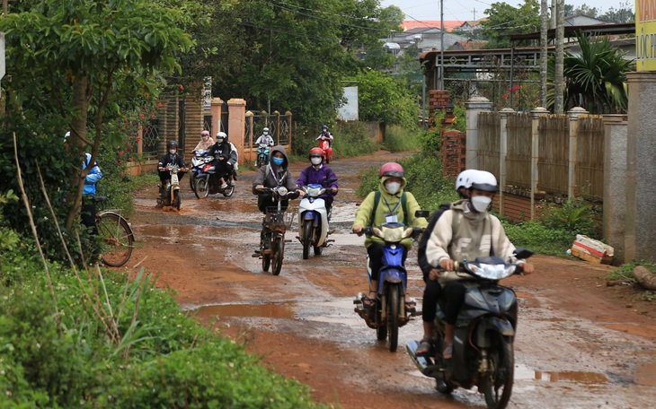 Đê bao chắn lũ làm mãi không xong, hơn 200ha lúa ngập nặng - Ảnh 6.