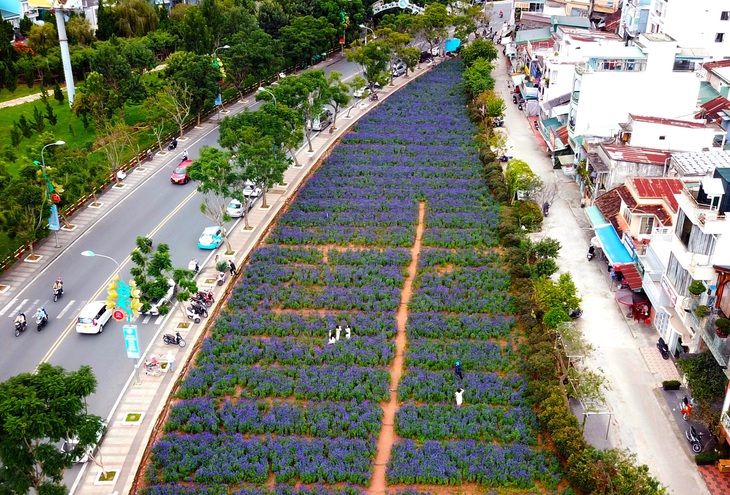 Một phần dự án đã thu hồi đất nay đã chuyển đổi thành công viên hoa - Ảnh: M.V.