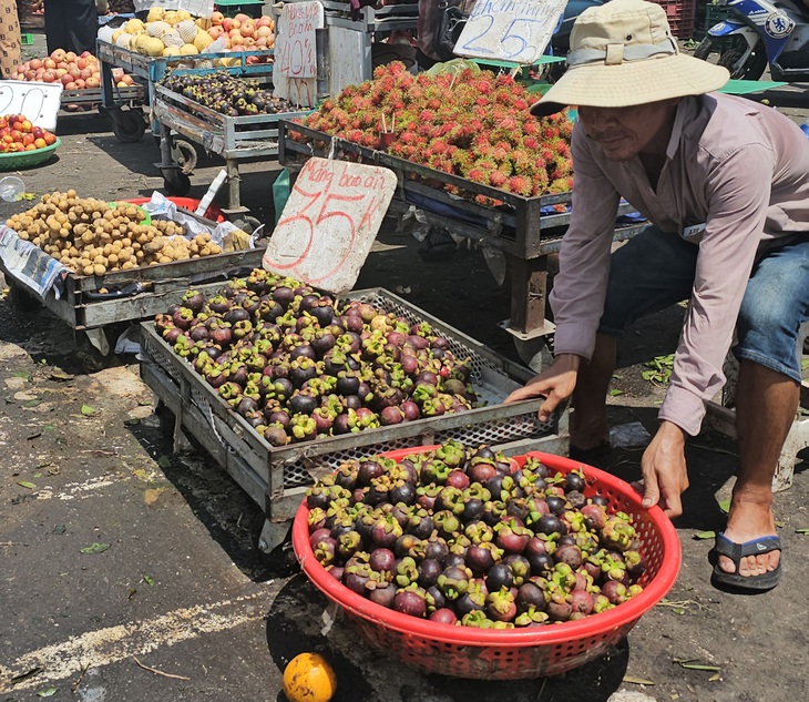 Măng cụt Thái Lan được nhiều tiểu thương bán ra với giá rẻ - Ảnh: N.TRÍ