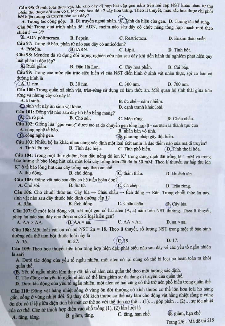 Đề thi môn sinh học tốt nghiệp THPT 2024- Ảnh 2.
