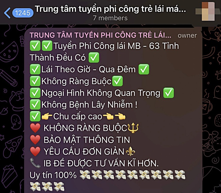 Thông tin tuyển “phi công” lan tràn trên mạng - Ảnh chụp màn hình