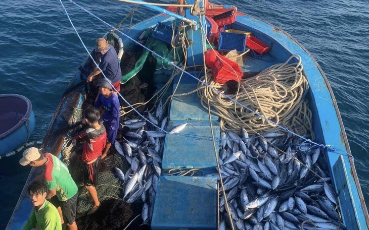 Vượt qua các 'ông lớn' quốc tế, cá ngừ đóng hộp Việt Nam đang là 'ngôi sao' tại Mỹ - Ảnh 2.