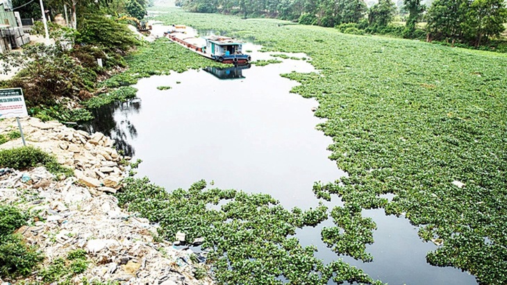 Hệ thống thủy lợi Bắc Hưng Hải đoạn tỉnh Hải Dương nhiều đoạn đang bị lấn chiếm, ô nhiễm trầm trọng - Ảnh: DANH KHANG