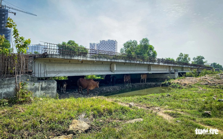 Lãi vay tăng hơn trăm tỉ mỗi năm, nhà đầu tư làm 2,7km vành đai 2 lo dự án đội vốn