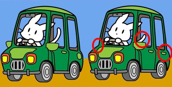 Thiên tài mới thấy 9 con sư tử trong 10 giây- Ảnh 6.