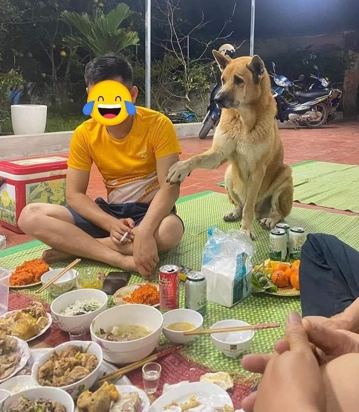 Ảnh vui 1-7: Vận động viên có nghề... vắt sữa bò- Ảnh 2. Anh... cho em miếng.