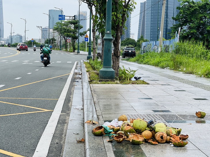 Xác dừa bỏ trên vỉa hè đường Tố Hữu - Ảnh: XUÂN ĐOÀN