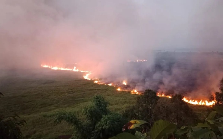 El Niño, La Niña có thể đang âm thầm 'cứu' thế giới khỏi hạn hán toàn cầu - Ảnh 3.