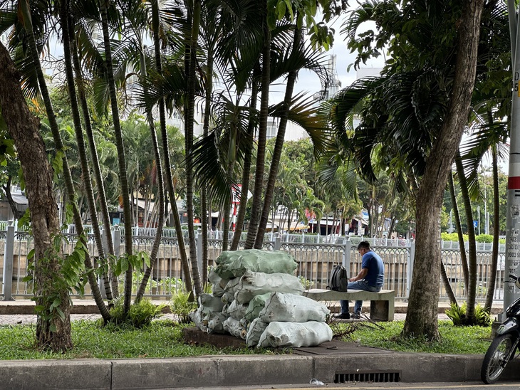 Sau phản ánh, đường Trường Sa vẫn ngập ngụa rác- Ảnh 6.