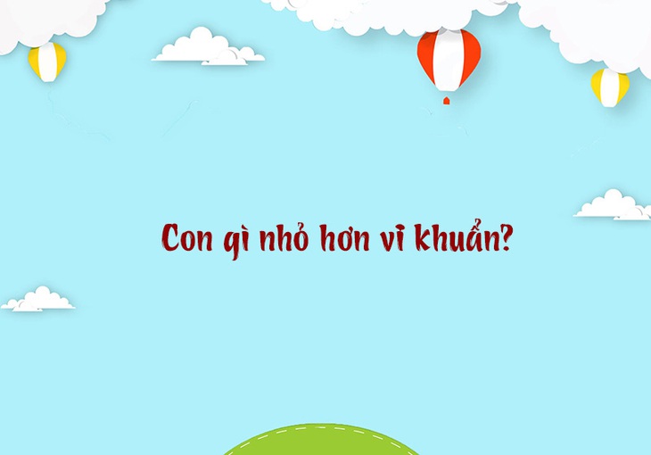 Từ nào trong tiếng Việt có ba chữ Y?- Ảnh 3. Từ nào trong tiếng Việt có ba chữ Y?- Ảnh 3.