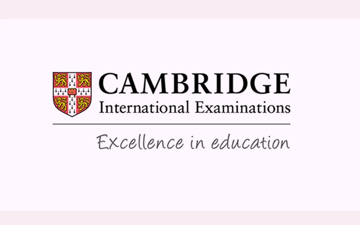 TP.HCM yêu cầu rà soát cán bộ dùng chứng chỉ 'Cambridge International' - Ảnh 3.