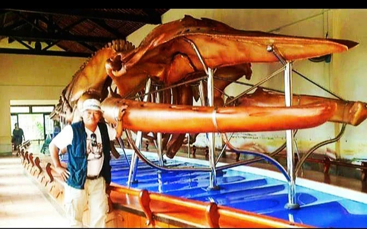 Hai bộ xương cá voi lớn nhất Việt Nam xuống cấp sau vài năm trưng bày - Ảnh 2.