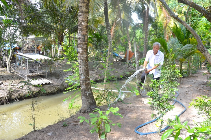 Lãnh đạo ngành điện lực Tiền Giang cho biết người dân sử dụng máy bơm công suất lớn hơn mức cần thiết cũng góp phần làm quá tải máy biến áp. Trong ảnh, người dân Tiền Giang tưới vườn dừa của mình - Ảnh: MẬU TRƯỜNG