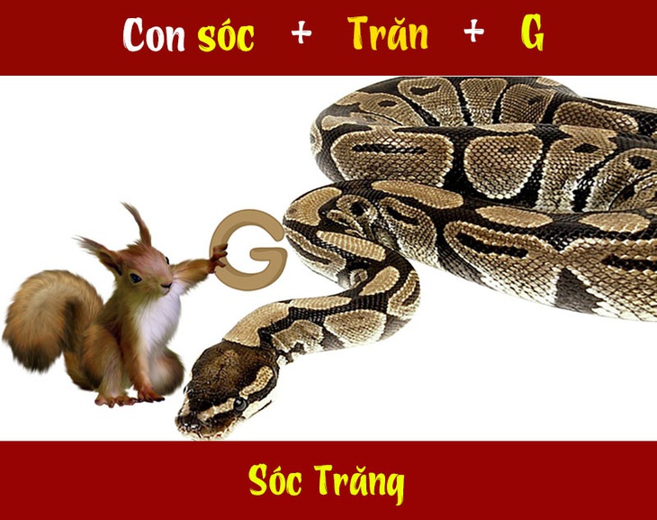 IQ cao có đoán được đây là tên tỉnh thành nào nước ta? (P59)- Ảnh 2. IQ cao có đoán được đây là tên tỉnh thành nào nước ta? (P59)- Ảnh 2.