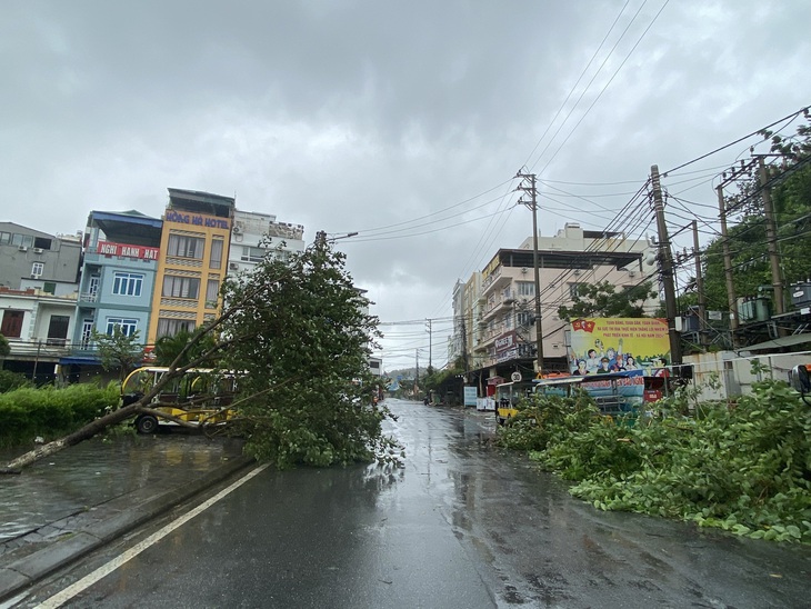 Bão số 2 suy yếu thành áp thấp nhiệt đới, Quảng Ninh nhiều nơi cây ngã đổ- Ảnh 2.