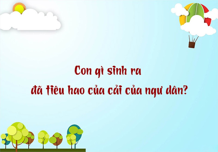 Quả gì càng nặng càng dễ khóc?- Ảnh 5.