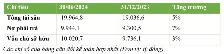 Tổng nợ phải trả cũng tăng lên 9.944,1 tỉ đồng, tương đương mức tăng trưởng 7%. Mức tăng này chủ yếu đến từ các khoản nợ phải trả liên quan đến việc mua cổ phần của công ty từ Công ty cổ phần đầu tư - phát triển Tâm Sinh Nghĩa đối với các cổ đông cũ.