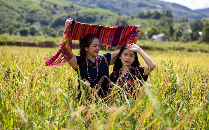 Thưởng thức tôm cạn sống trong hốc cây, rêu đá mùa đông, lá mì xào cá của các dân tộc vùng cao - Ảnh 8.