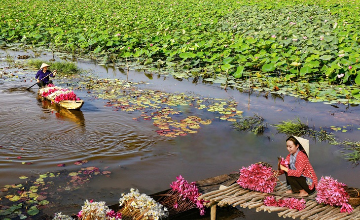 Long An có nhiều tiềm năng để phát triển du lịch nông thôn nhưng đang bị lãng quên dù liền kề TP.HCM - Ảnh: CÔNG TOẠI