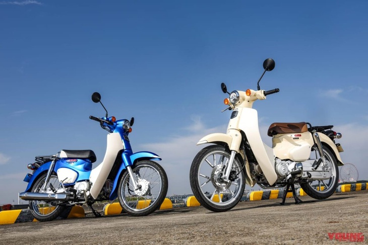 Nhiều người hiểu lầm Honda Super Cub sẽ bị khai tử toàn bộ - Ảnh: Young Machine