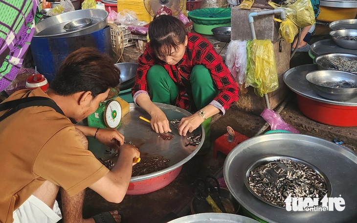 Mực nước đầu nguồn Đồng bằng sông Cửu Long tăng nhẹ, sản vật mùa nước nổi bắt đầu về chợ