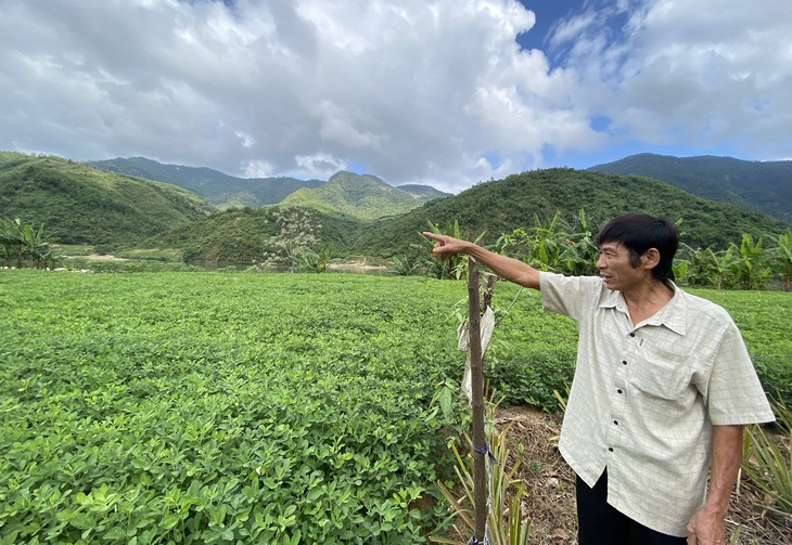 Ông Minh chỉ về phía những dãy núi ở thượng nguồn Vu Gia, nơi có rừng trái Nam trân lúc xưa Ảnh: LÊ TRUNG