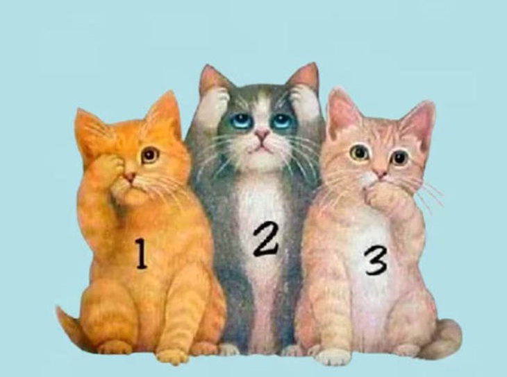 Quiz: Con vật tiết lộ tính cách đáng ngạc nhiên ở bạn- Ảnh 1. Quiz: Con vật tiết lộ tính cách đáng ngạc nhiên ở bạn- Ảnh 1.