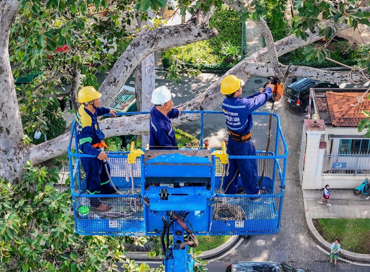 Tổng kiểm tra, cắt tỉa cây xanh lâu năm tại công viên Tao Đàn- Ảnh 3.