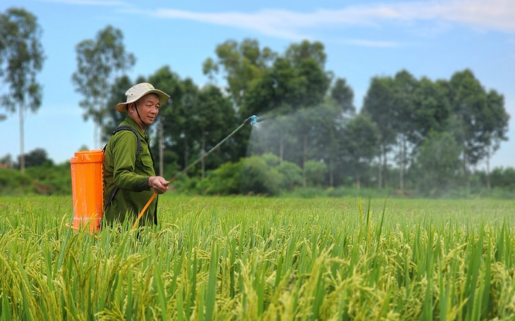 Tỉ phú đồng lúa 500ha - Ảnh 4.