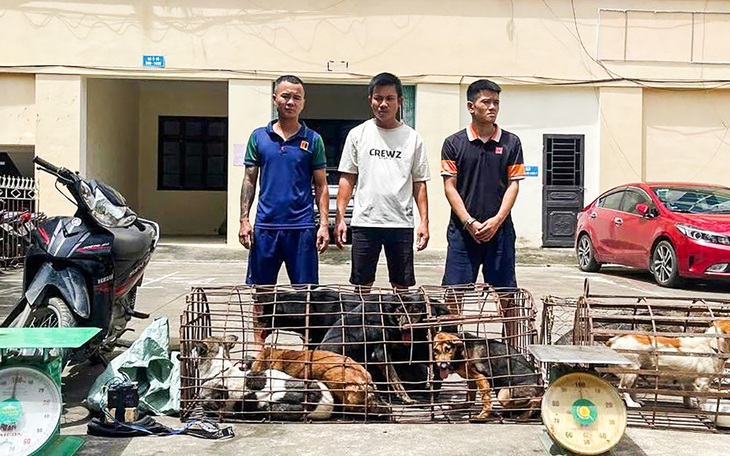 Bắt nhóm người có nhiều tiền án chuyên dùng ô tô đi trộm chó - Ảnh 4.