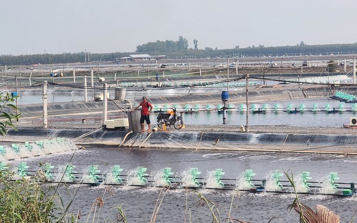 Long An quy hoạch thêm khu công nghiệp sạch cho 23.000 lao động - Ảnh 2.