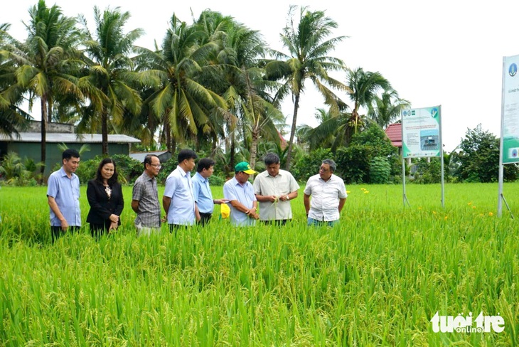 Mô hình lúa chất lượng cao, phát thải thấp ở Đồng Tháp có thể giúp giảm giá thành 30% - Ảnh 1.