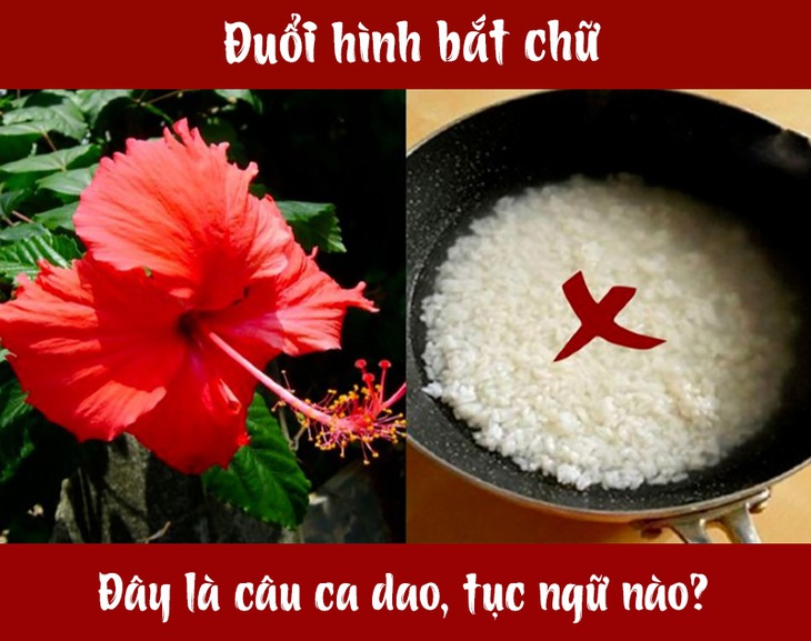 Câu ca dao, tục ngữ 'khó nhằn' này là gì? (P70) - Ảnh 1.