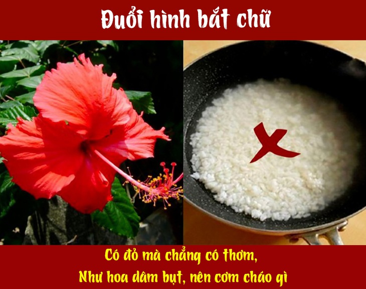 Câu ca dao, tục ngữ 'khó nhằn' này là gì? (P70) - Ảnh 1.
