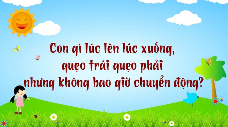 Loài chim nào rất mất trật tự?- Ảnh 3.