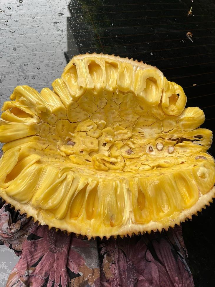 Ảnh vui 4-8: 'Khai trương đến giờ chưa bán được 1 tô bánh canh'- Ảnh 4. Ảnh vui 4-8: 'Khai trương đến giờ chưa bán được 1 tô bánh canh'- Ảnh 4.