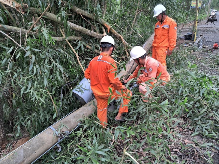 Ngành Điện miền Nam khắc phục sự cố do mưa bão- Ảnh 5.