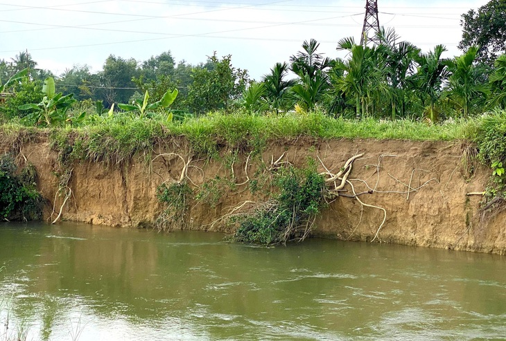 Những vách đất dựng đứng do sạt lở gây ra - Ảnh: TRẦN MAI