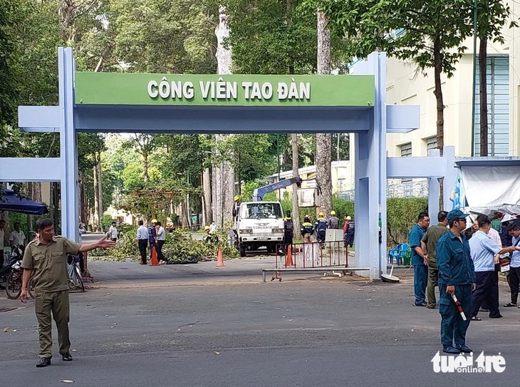 Gãy nhánh cây ở công viên Tao Đàn, 2 người chết, 3 người bị thương- Ảnh 3.