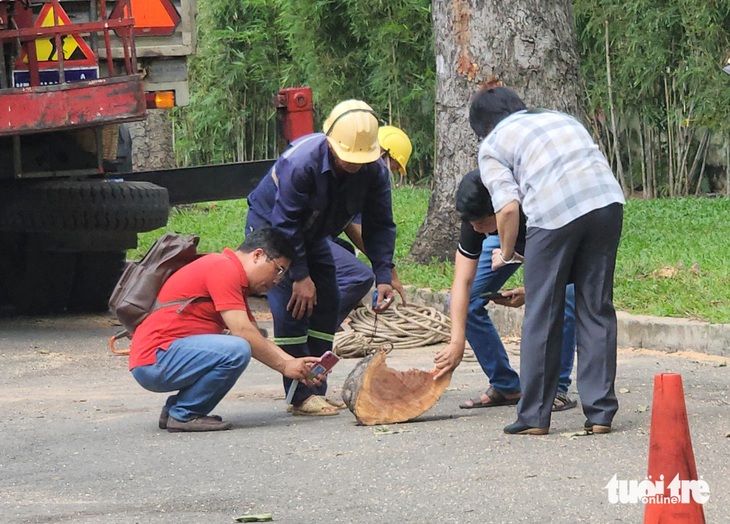 Cơ quan chức năng điều tra vụ cây xanh gãy nhánh tại công viên Tao Đàn, quận 1 sáng 9-8 - Ảnh: NGỌC KHẢI