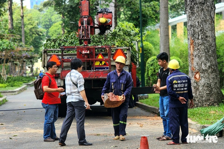 Nhánh cây bị gãy có chu vi 1,2m - Ảnh: NGỌC KHẢI