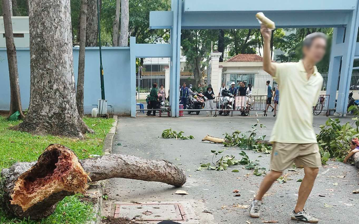 Gãy nhánh cây ở công viên Tao Đàn, 2 người chết, 3 người bị thương