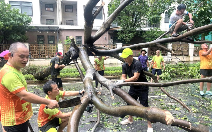 Quảng Ninh bác thông tin vớt được hàng chục xác người trên biển ở Cẩm Phả - Ảnh 3.