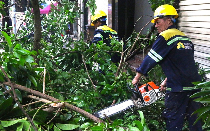 7 quận, huyện chưa báo cáo số liệu, nhưng Hà Nội đã có hơn 40.000 cây xanh đổ, gãy sau bão số 3 - Ảnh 3.