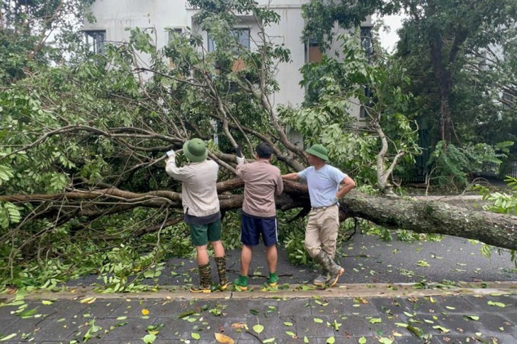 Nhiều nghệ sĩ Việt chung tay ủng hộ, khắc phục hậu quả bão Yagi - Ảnh 2.