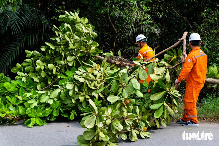 TP.HCM đảm bảo an toàn điện ở huyện Cần Giờ và Nhà Bè mùa mưa bão - Ảnh 2.