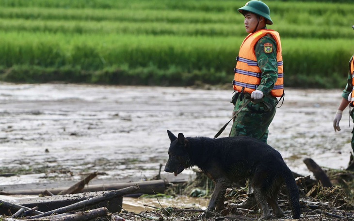 Thông tin tìm thấy 17 hộ với 70 nhân khẩu tại xã Cốc Lầu là chưa chính xác - Ảnh 4.