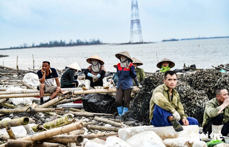 'Đồng bào' là gì mà người Việt hay nói với nhau? - Ảnh 1.