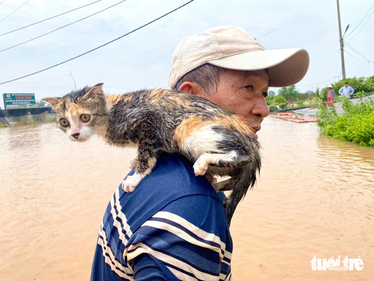 Cây cảnh tiền tỉ bị nước lũ nhấn chìm, người dân tập trung giải cứu hàng nghìn con lợn trước - Ảnh 13.