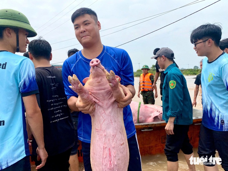 Cây cảnh tiền tỉ bị nước lũ nhấn chìm, người dân tập trung giải cứu hàng nghìn con lợn trước - Ảnh 9.